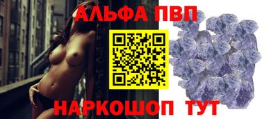 СК Шахты