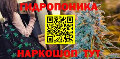 СК Шахты