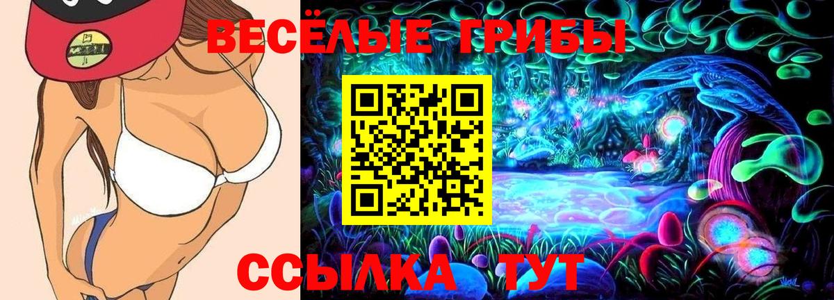 Галлюциногенные грибы мухоморы  где найти наркотики  Ахтубинск  Вход с VPN 